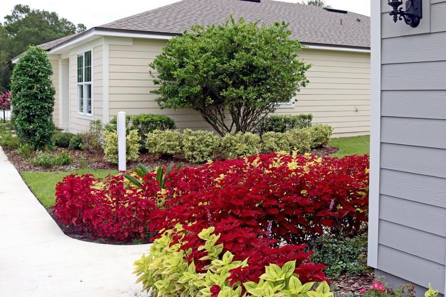 Expert Landscape Design Services in Central Florida.